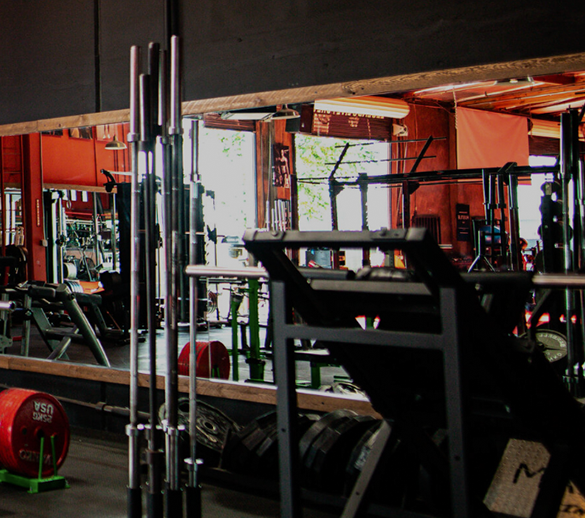 FULLY STOCKED GYM – MadHouse Gains Asylum